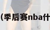 季后赛nba（季后赛nba什么时候开始）