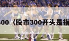 股市300（股市300开头是指什么）