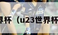 u23世界杯（u23世界杯预选赛）