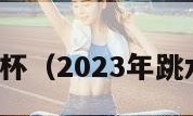 跳水世界杯（2023年跳水世界杯）