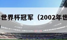 2002年世界杯冠军（2002年世界杯冠军决赛）