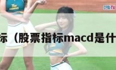 股市指标（股票指标macd是什么意思）