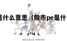 股市pe是什么意思（股市pe是什么意思啊）