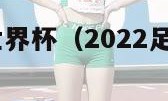 2022足球世界杯（2022足球世界杯赛程时间表）