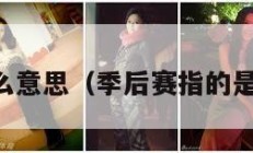 季后赛什么意思（季后赛指的是什么意思）