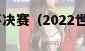 2022世界杯决赛（2022世界杯决赛进球）