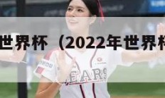 2022年世界杯（2022年世界杯决赛时间）