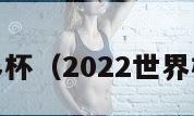 2022世界杯（2022世界杯赛程表）