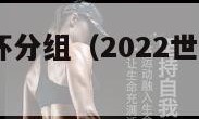 2022世界杯分组（2022世界杯分组图）